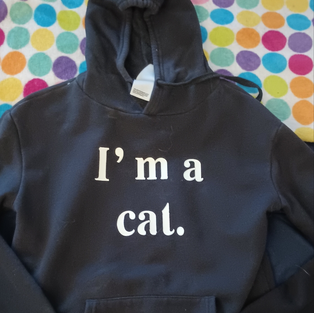 Black Hoodie with 'I'm a cat.' Print